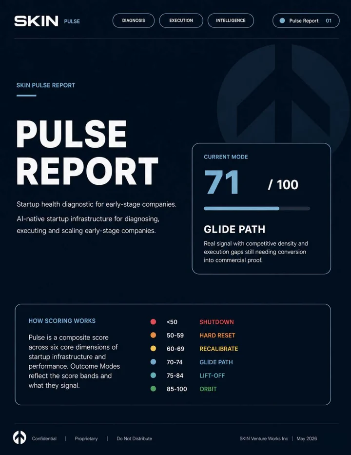 SKIN Pulse Report cover